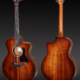 Taylor 224CE-K DLX