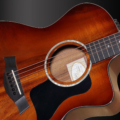 Taylor 224CE-K DLX