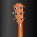 Taylor 224CE-K DLX